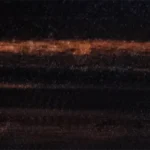 madera de ébano makassar